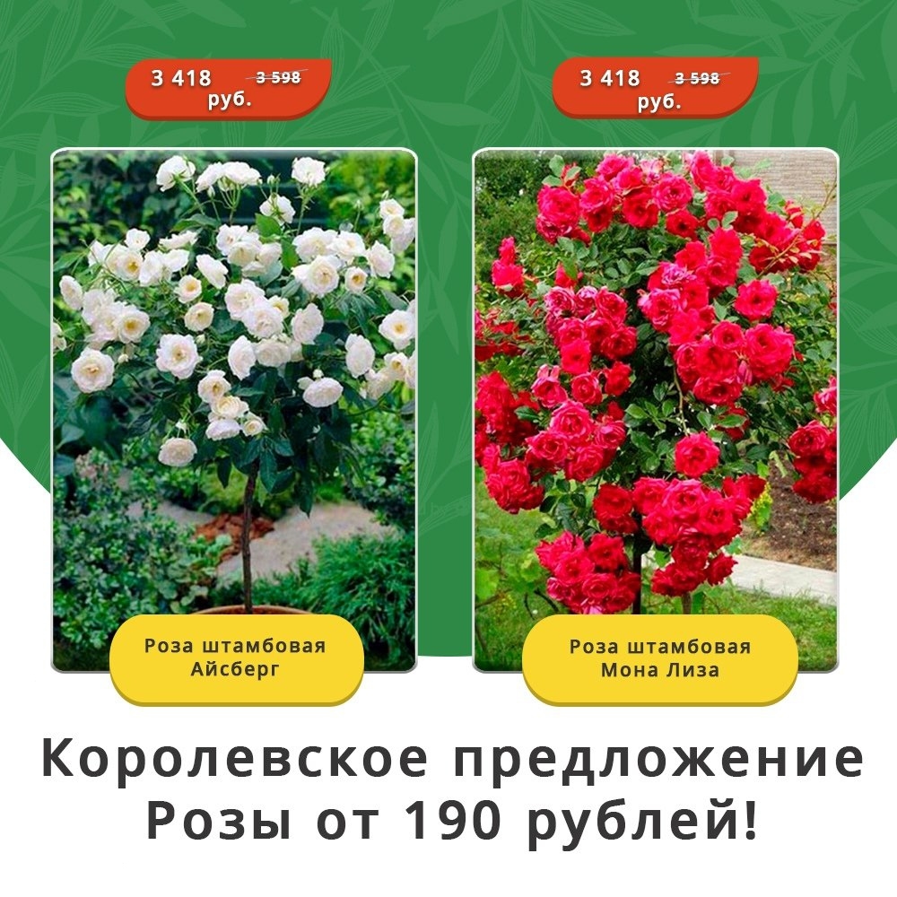 gardenmart24.ru в LOOKY — фото 10
