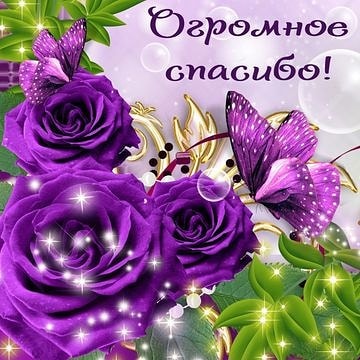 natalia.klimenko.77 в LOOKY. . Девочки, спасибо огр...