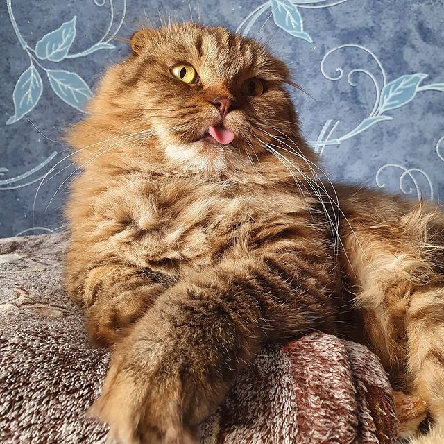 marishveps_25 в LOOKY. . Мой выразительный ко...