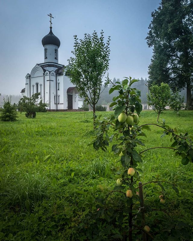 photo_mihalych в LOOKY. #len_oblast_,#пригородыпетербурга,#спбленобласть,#ленинградскаяобласть,#ленобласть,#leningradskaya_oblast,#churchrussia,#храмыроссии,#moyhram,#loves_united_church,#walk_on_russia,#po_strane,#natureofrussiaru,#native_Russia,#loves_russia2,#rus_places,#russiaonline,#landscape_russia,#ruslavia,#showmerussia,#russia_photolovers,#rus_photos,#russia_ig,#photorussia,#russia_ww,#фотодляроссии,#russiamylove. Монастырские яблочки...