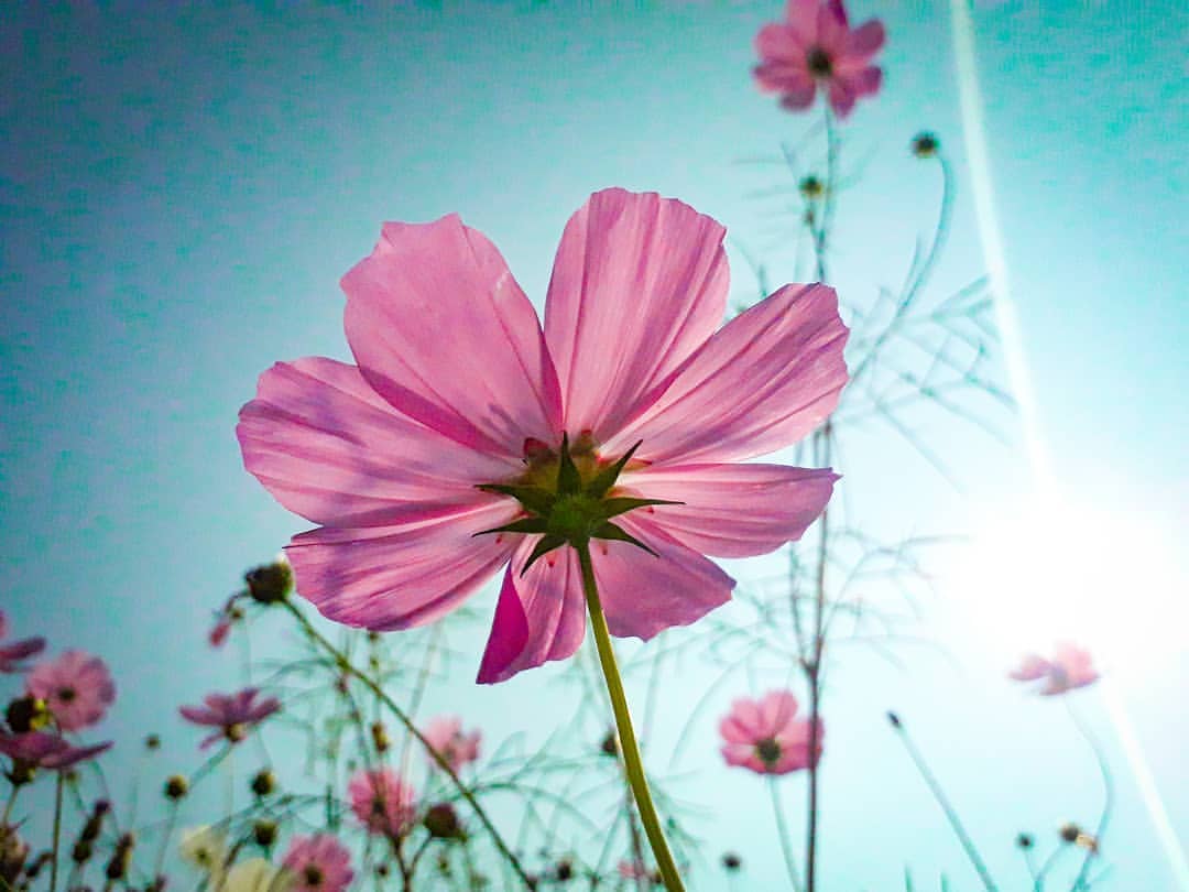 nasyadutova in LOOKY. #russia,#happy,#beautiful,#cute,#love,#landscape,#ilovekrsk,#krsk,#taiga,#naturehappy,#likeforlikes,#liketime,#sity,#urban,#autumn,#evening,#wildlife,#nature,#bookstagram,#natgeo,#natgeotravel,#travel,#красноярск. .
.
.
.
.
.
.
#siber...