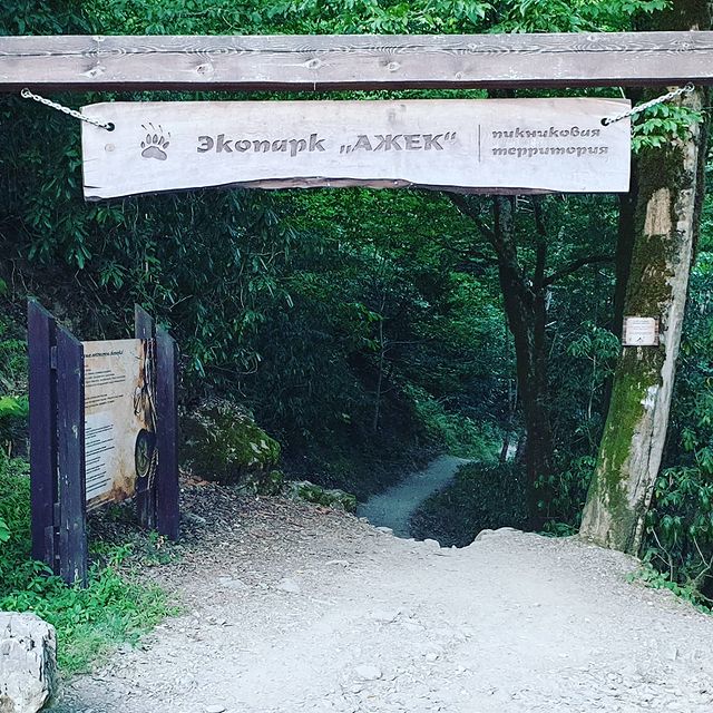 stepan_sochi_07 в LOOKY. #sochi,#sochi2020,#sochifornia,#sochifornia_life,#hiking,#azhek,#waterfall,#ecopark,#mountains,#river,#journey,#hike,#withgalaxys9plus,#likeforlikes,#likeme,#followme. Небольшой поход к во...