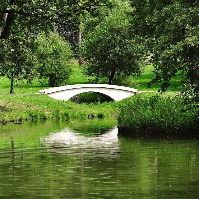 v_e_r_t_i_n_a в LOOKY. #царицыно,#царицынскиепруды,#паркимосквы,#красотарядом,#прогулкипомоскве,#природароссии,#москва🇷🇺. Царицынский парк
#ца...