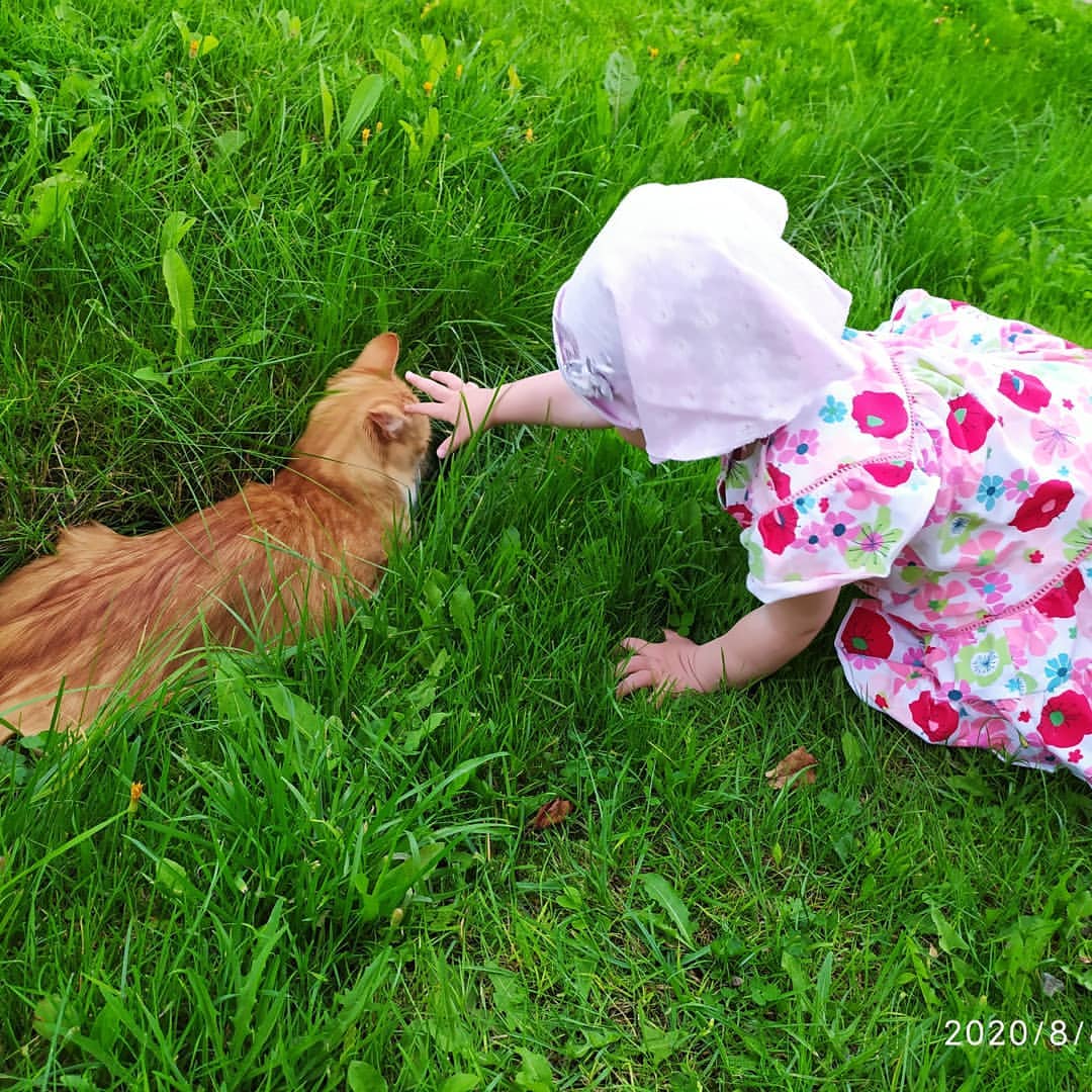 #любовьвсейжизни💖💖💖
Любимые животные 🐱🐈