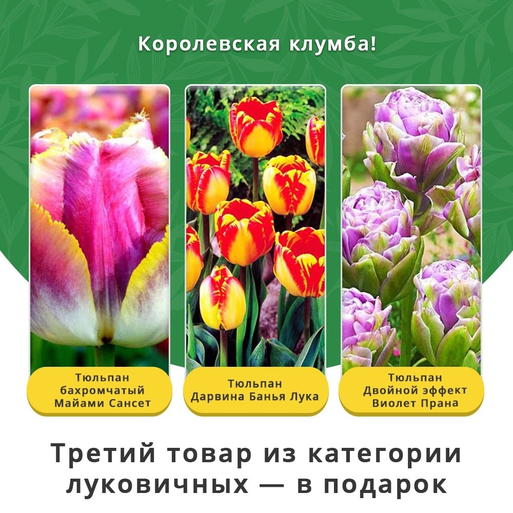 gardenmart24.ru в LOOKY — фото 10