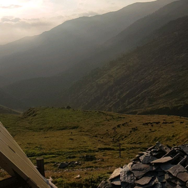 ka_ollyk в LOOKY. #visitvaldisusa,#visitvalsangone,#valdisusa,#valdisusaturismo,#fontanamura,#parcoorsierarocciavrè,#piemontemontagna,#caitorino,#laboratoriovalsusa,#lagorouen,#пьемонтеальпы,#альпы,#италиятреккинг,#италиягоры,#итальянскиеканикулы,#rifugiofontanamura. всем доброго утра..�...