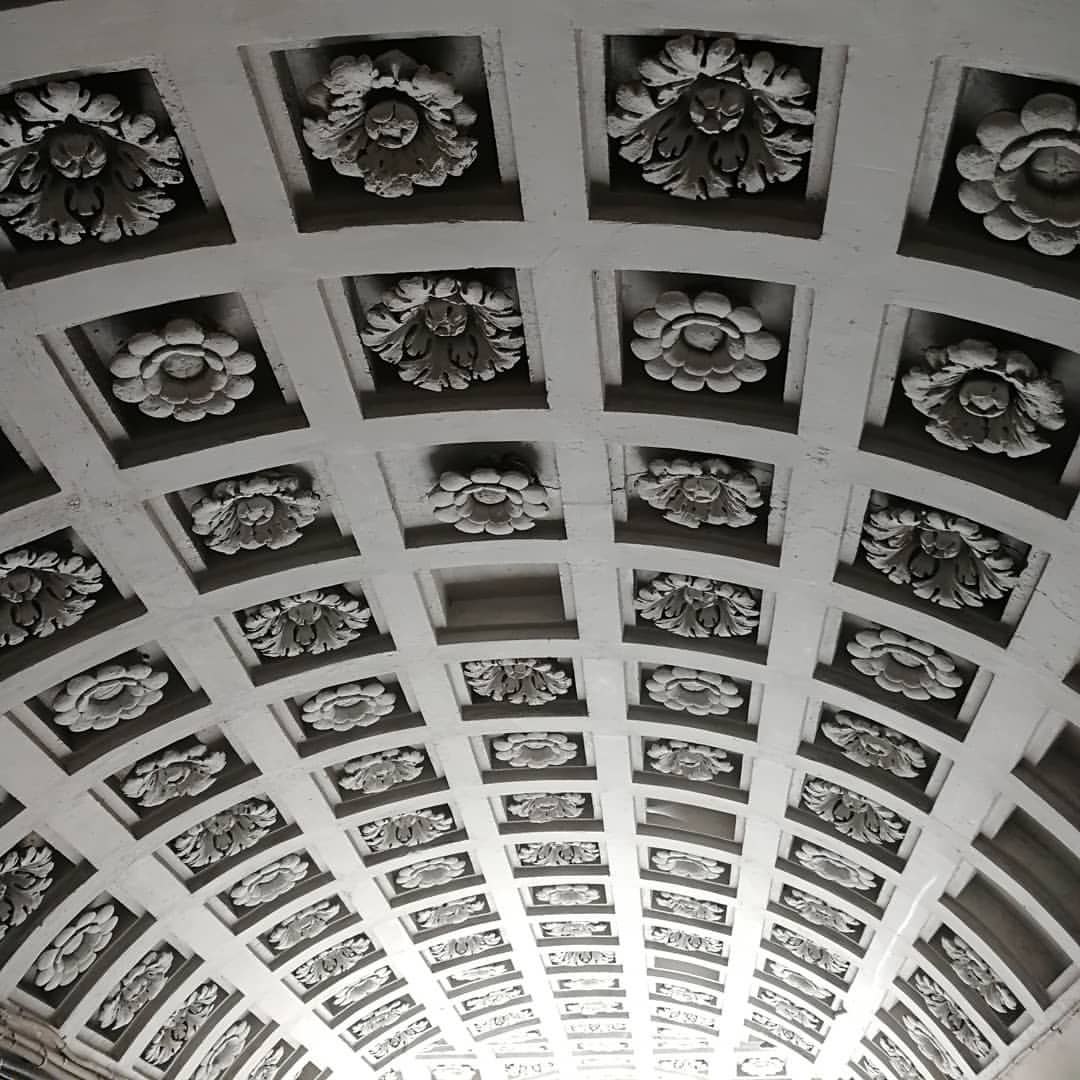 lisena812 в LOOKY — фото 10