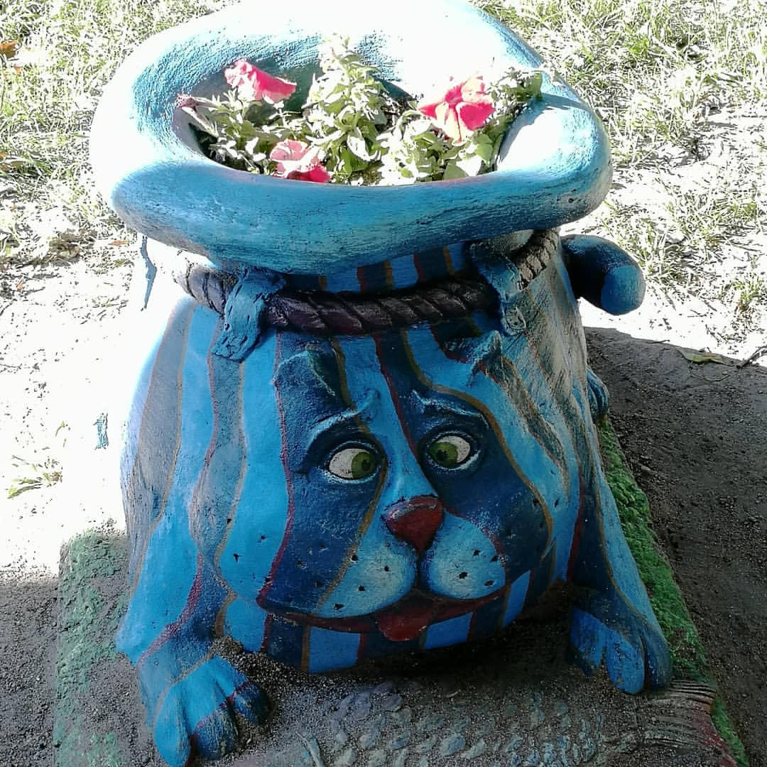 lisena812 в LOOKY — фото 8