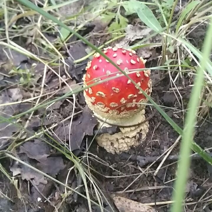 gulshat_af в LOOKY — фото 5