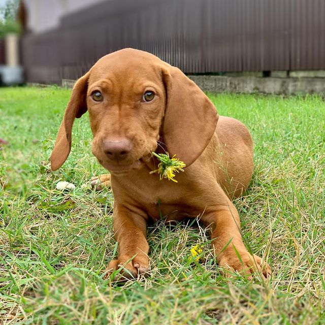 andreybogdanov в LOOKY. . У нас пополнение🥳 З...