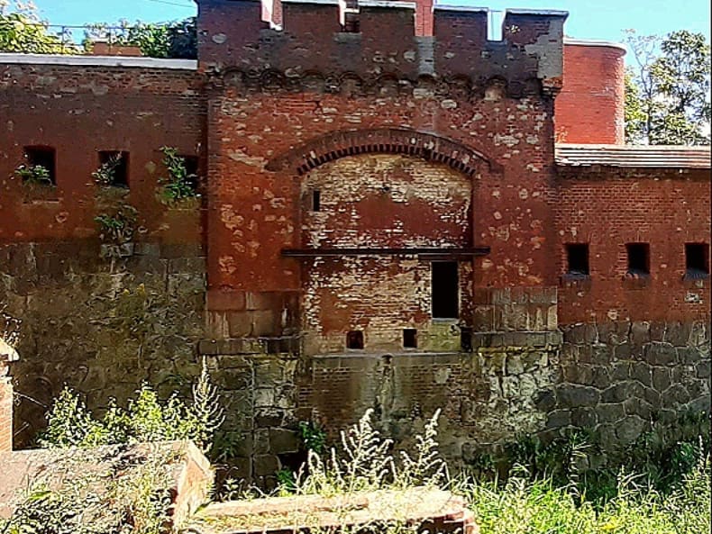 chumovoy_dachnik в LOOKY — фото 3