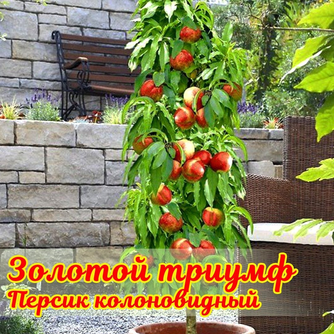 gardenmart24.ru в LOOKY — фото 3