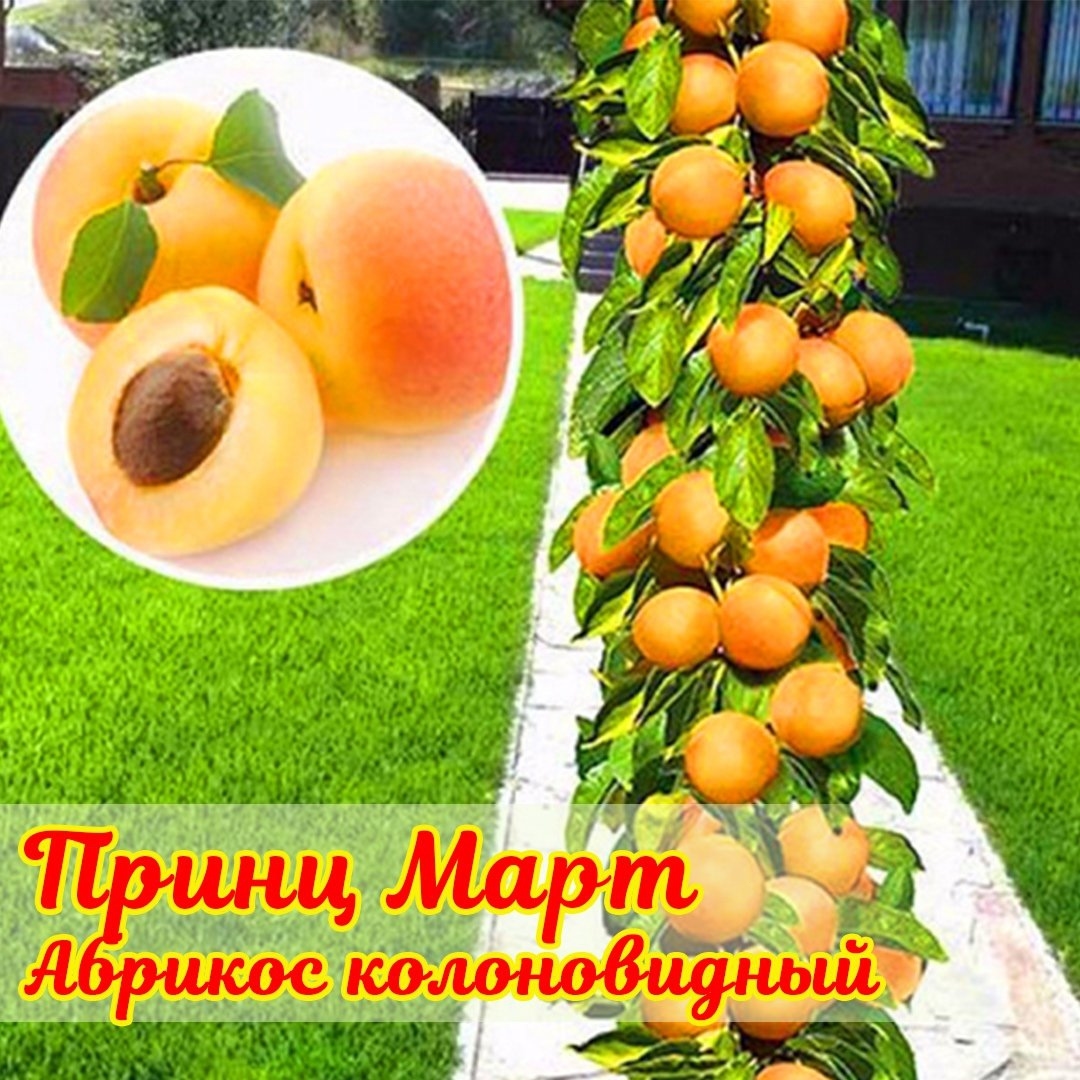 gardenmart24.ru в LOOKY — фото 2