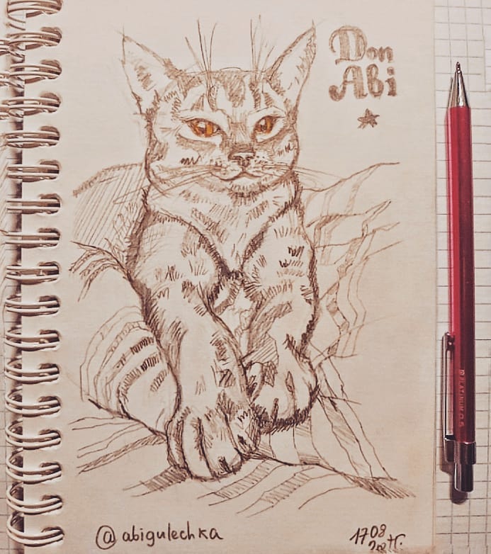 callileo75 in LOOKY. #лапки,#33кота,#leo75рисует,#рисуюкотиков,#33котаleo,#рисуюкота,#catdrawing,#drawingcat,#drawingcats. 2/33 Шикарные лапищи...
