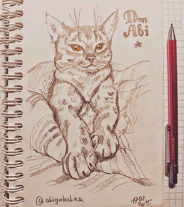 callileo75 в LOOKY. #лапки,#33кота,#leo75рисует,#рисуюкотиков,#33котаleo,#рисуюкота,#catdrawing,#drawingcat,#drawingcats. 2/33 Шикарные лапищи...