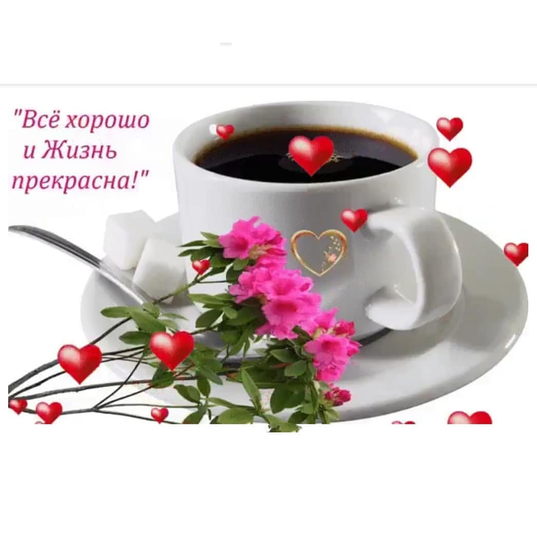 svet_lana50377 в LOOKY — #утрочай #утродоброе☀️