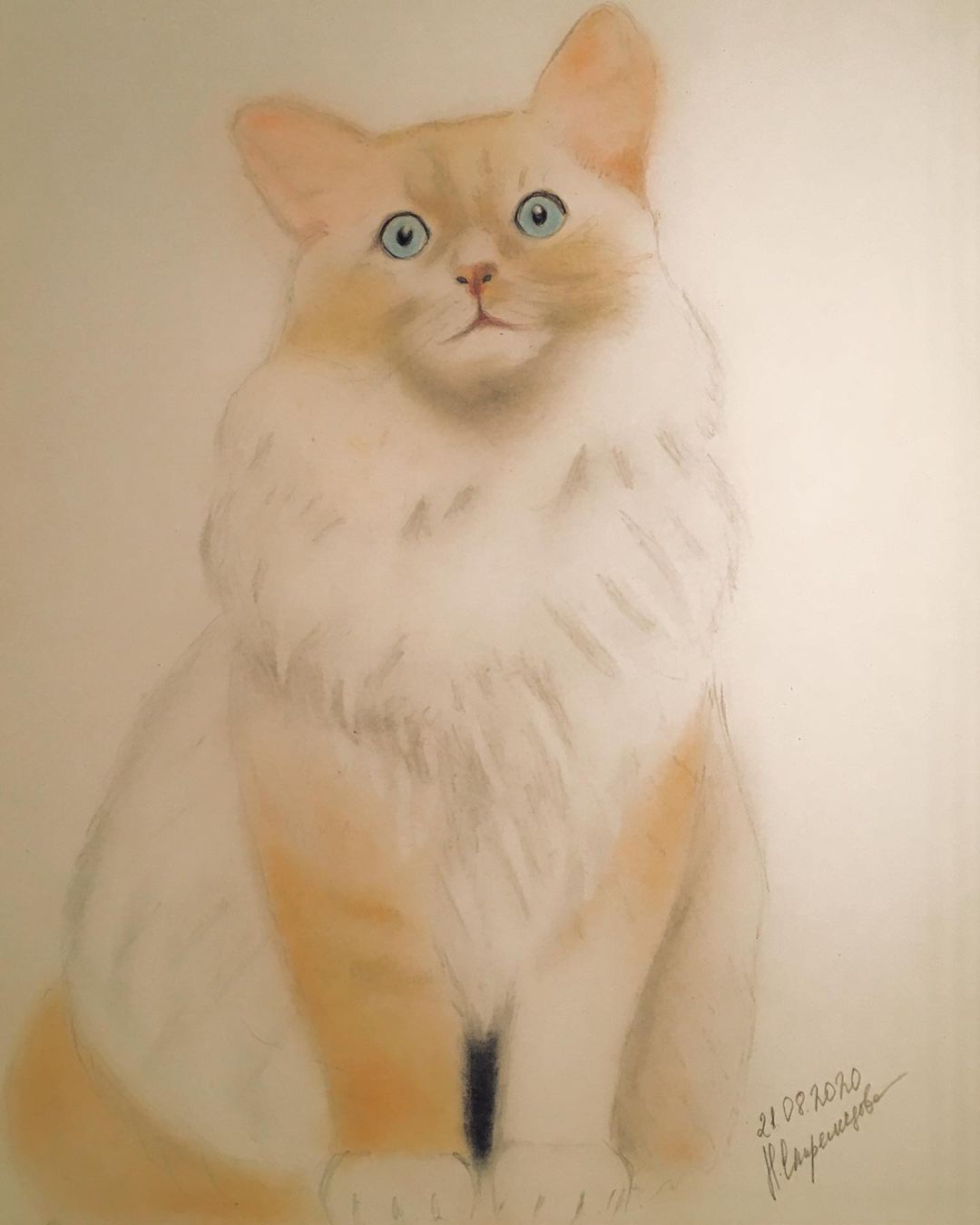 streltsova_natali_ в LOOKY — Чудесный котик Тимоша😻❤️🐾

...#рисуюкаждыйдень #рисуюкак