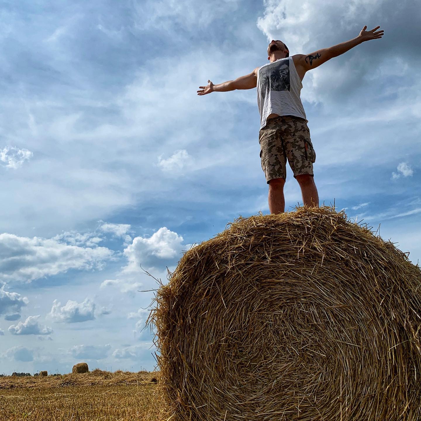 stepserg в LOOKY. . Freedom