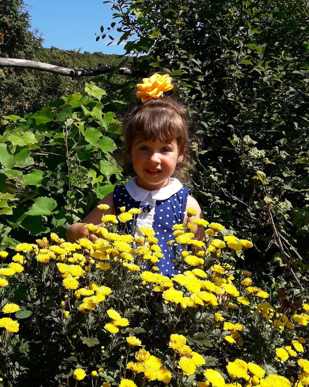 galinakozina6465 в LOOKY. . Моя ягодка. с.Лазо.