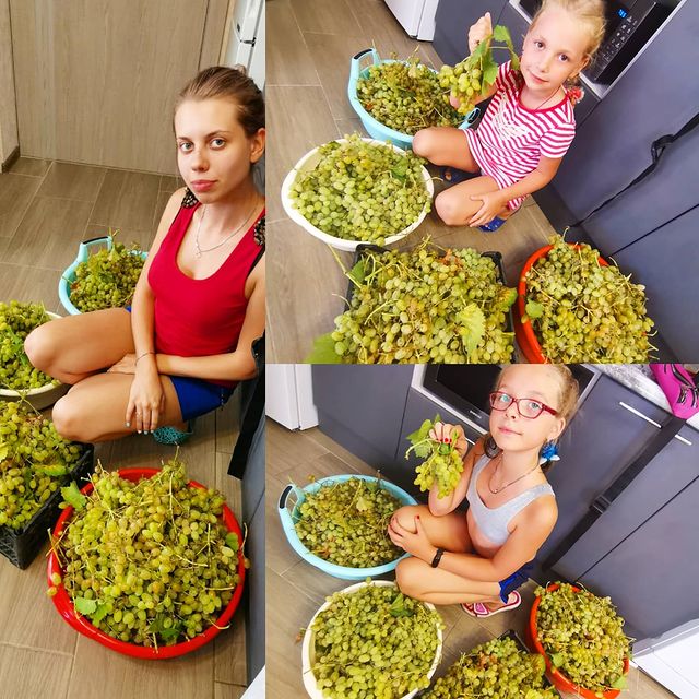 anika126rus в LOOKY. . 🍇🍷🍇