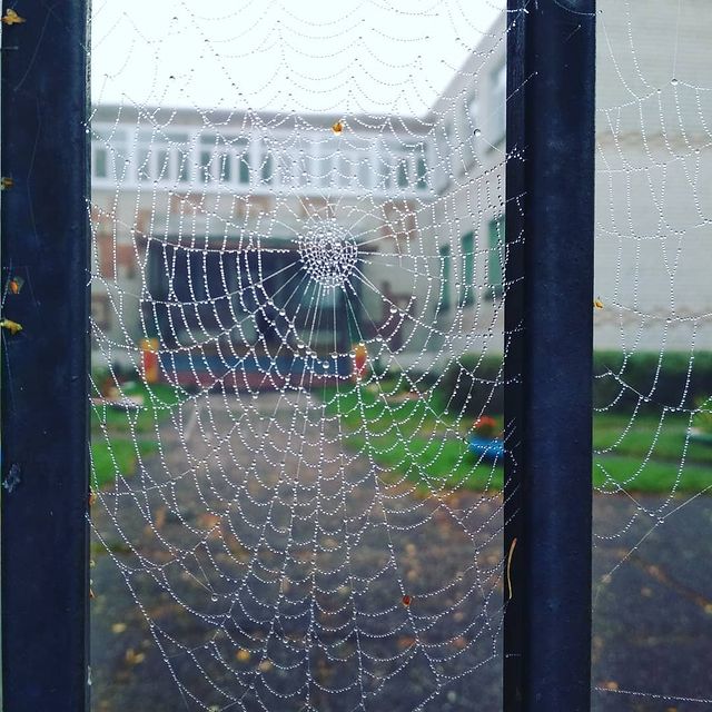 svetlanamazneva в LOOKY. . Вдруг какой-то стари...