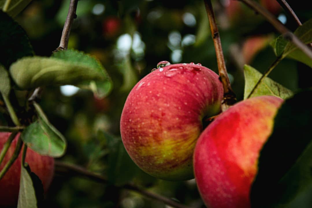 nasyadutova in LOOKY. #russia,#happy,#beautiful,#cute,#love,#landscape,#ilovekrsk,#krsk,#taiga,#naturehappy,#likeforlikes,#liketime,#sity,#urban,#autumn,#evening,#wildlife,#nature,#apple,#natgeo,#natgeotravel,#travel,#красноярск. .
.
.
.
.
.
.
#siber...
