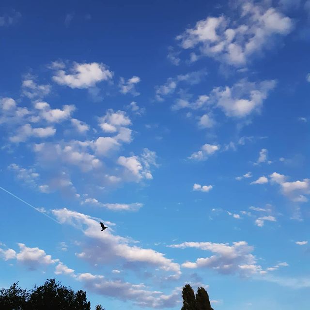 naspheratoo в LOOKY. . null