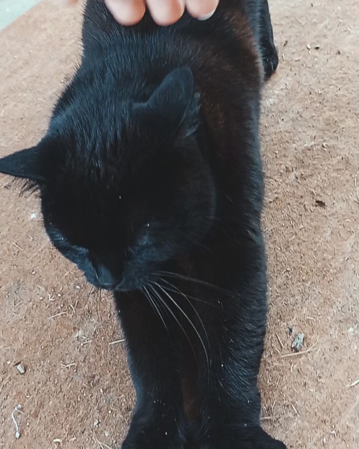 lexi в LOOKY. . Приятно приехать на ...