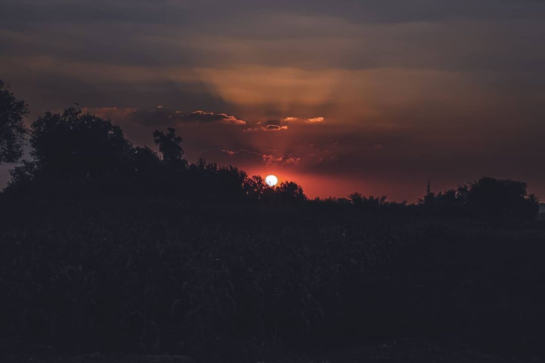 youssef_21_khalid в LOOKY — публикация
