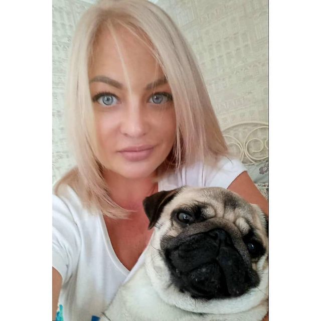 polinna_frolova в LOOKY. #королякороновали,#самыйлучший,#мопс,#мойсамыйвкусныйпирожок,#мопсыправятмиром,#мопсолюбовь,#pug. Плюс три диплома чем...