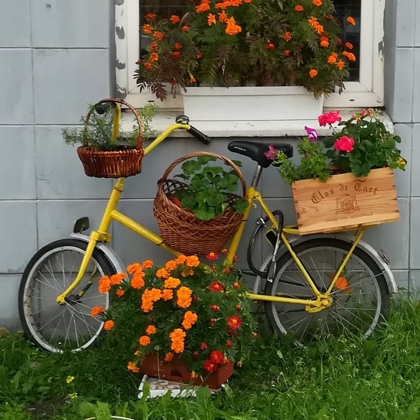 v_e_r_t_i_n_a в LOOKY. #bicycle,#msk_lifee,#moscow,#instagrammoscow,#москва🇷🇺,#велосезон,#велосипед,#🚲. Велосипеды Москвы 🚲...