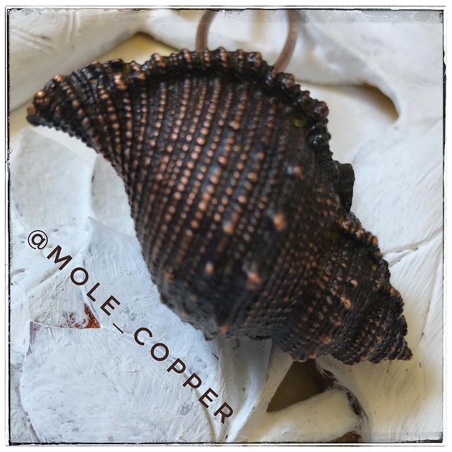 mole_copper в LOOKY. . ⠀
Шпилька для волос⠀...