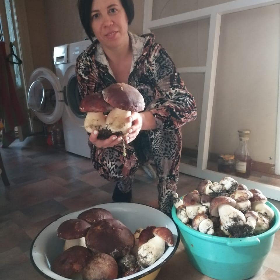 vorobevanatalia32 в LOOKY. #Грибы_2020. #Грибы_2020