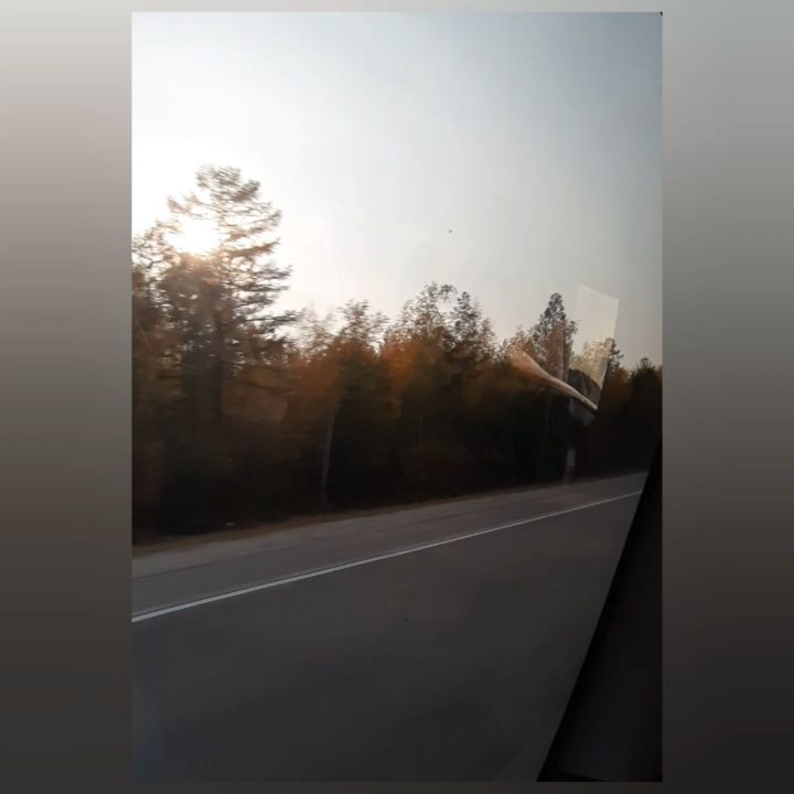 v_e_r_a_sleptsova in LOOKY. . null