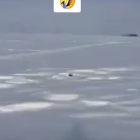 osubochev в LOOKY. . null