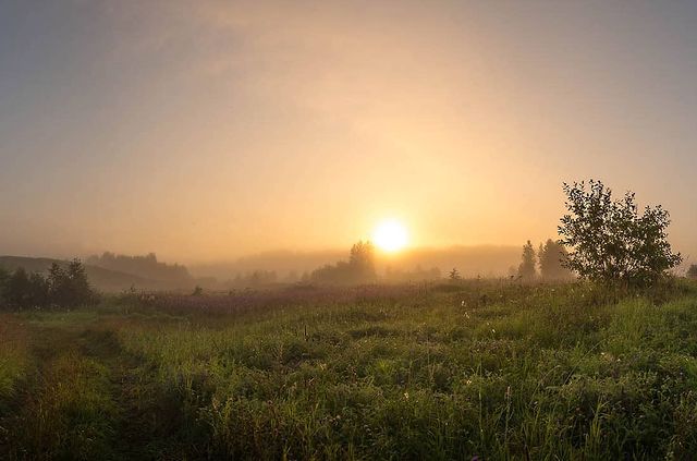 photo_mihalych в LOOKY. #ig_worldclub,#worldbestshot#landscape,#nature_shooters#nature_seekers#awesome_photographers#awesome_earthpix,#places_wow#natgeoru,#master_shots,#loves_landscape#justophotoday,#loves_europe#naturelovers,#фотодляроссии#europestyle_russia,#walk_on_russia#po_strane,#rus_places#loves_united_russia,#ruslavia,#landscape_russia,#natureofrussiaru#loves_russia2,#russiaf,#russia_fotolovers,#natgeomagazineru#topnature,#igglobalclub. Начало нового дня
#i...