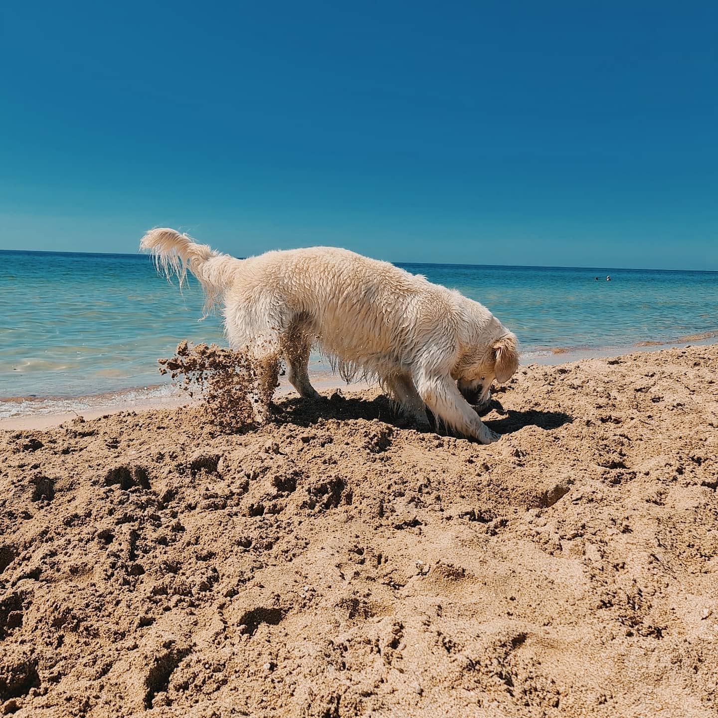 olya_and_maya в LOOKY — фото 5