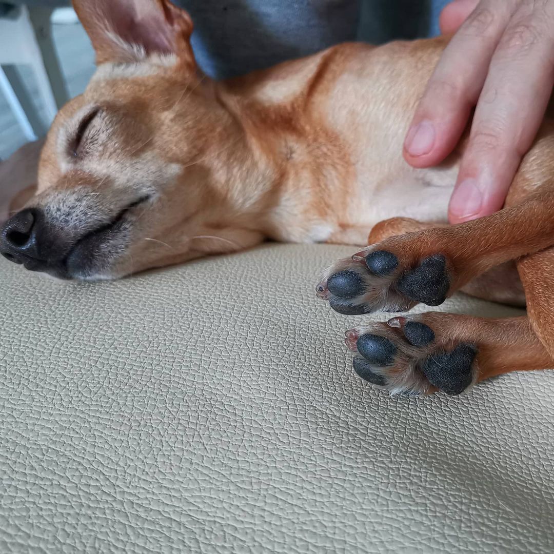 Воскресенье - день сна. 💤💤🛌