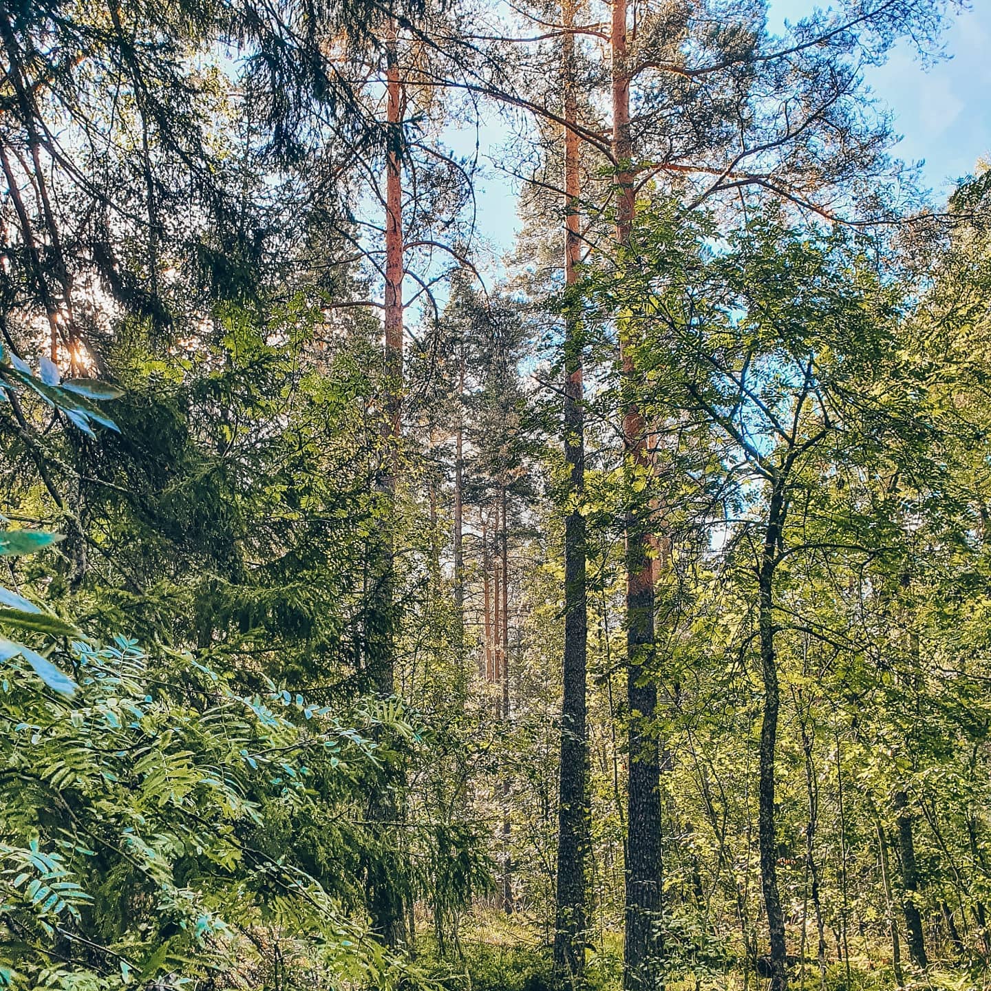 logvinova__design в LOOKY — фото 3