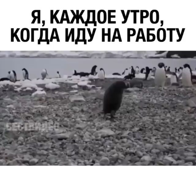 kristi.9625 в LOOKY. #я,#работа. #я #работа 😭😭😭😅�...