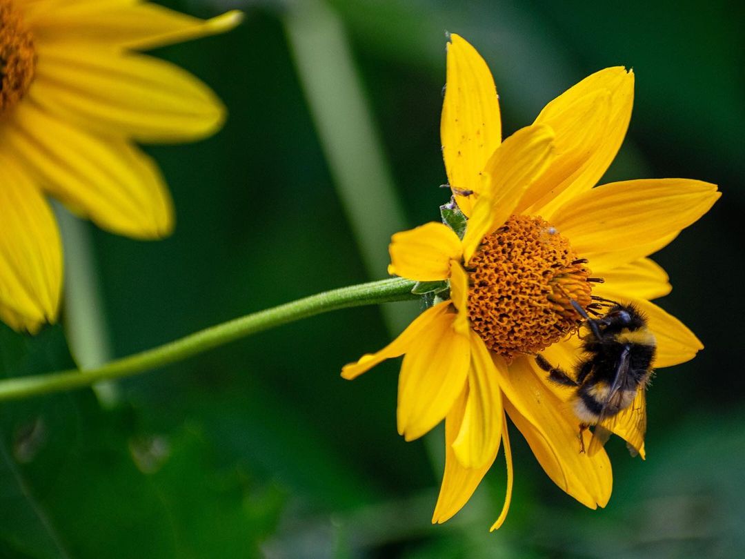 pavel.kochetov в LOOKY — фото 4