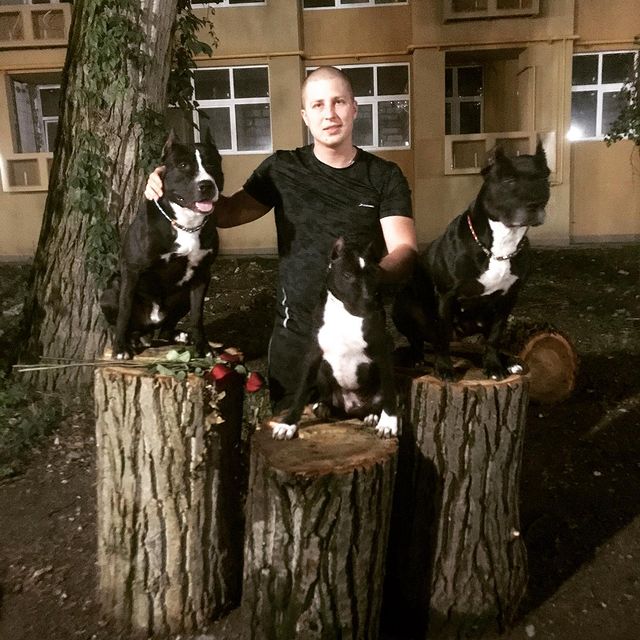 vredkin_12 в LOOKY. . null