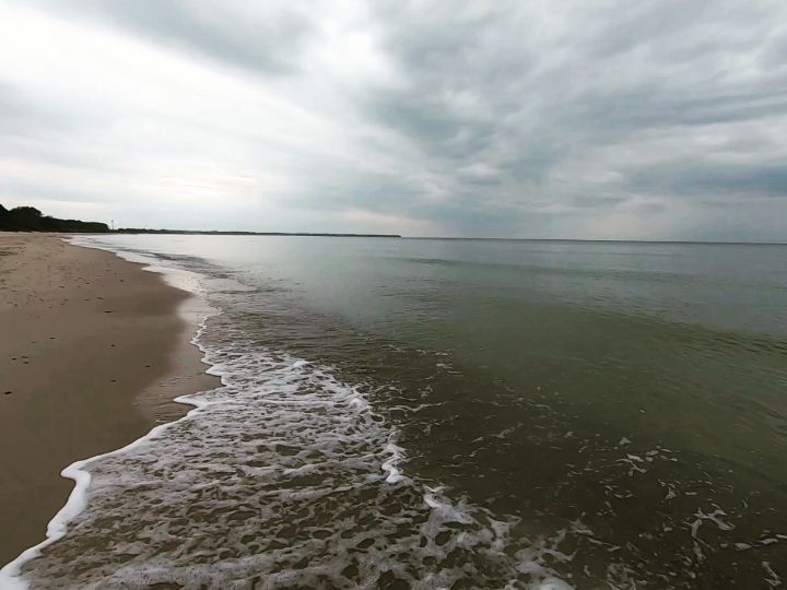 parktrail в LOOKY. . Дичаем потихоньку и ...