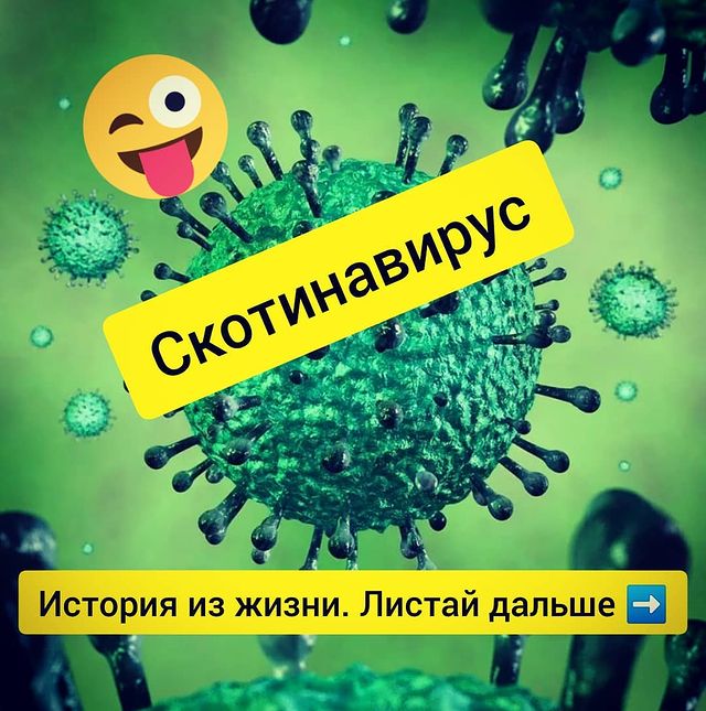 dgurevich77 в LOOKY. #истории,#историиизжизни,#историижизни,#историинаночь,#историиобистории,#историиуспеха,#история,#караванисторий,#мистическиеистории,#интересныеистории,#историилюбви,#смешныеистор,#историиигрушек,#историиинтересныхлюдей,#напишиисторию. Всем привет 👋. Ещё ...