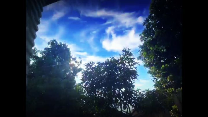 mekopurwanto13 в LOOKY. #lofisongs. Lemon Tree🍋
#lofiso...