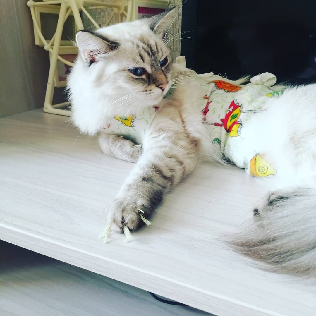 nikolay_kruglikov в LOOKY. . Лада тоже не особо в...