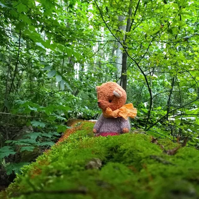 yura_senichkin в LOOKY. #teddyorange,#teddy,#teddybear,#тедди,#тедди. #teddyorange #teddy ...