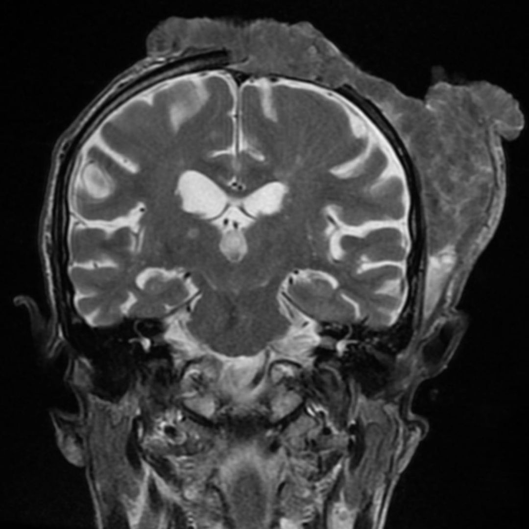 russianradiology в LOOKY — фото 2