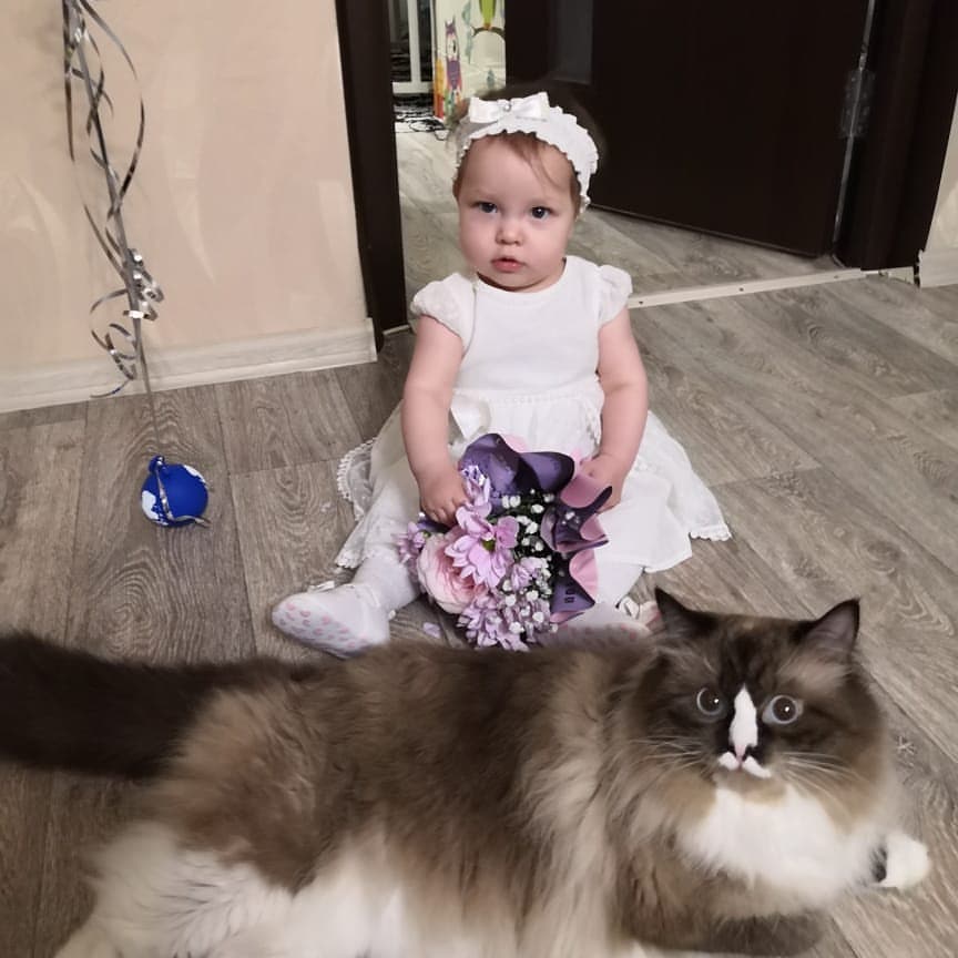 chaotig в LOOKY — Доча и котик🐈 п.с: у дочи свой букетик 😺🌹#мылюбимкотиков 