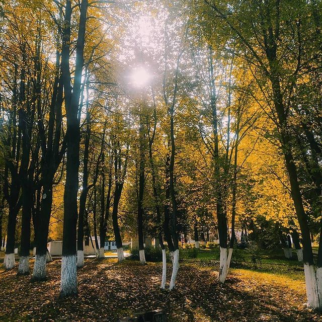 elenka239012 в LOOKY. . Сентябрь разрисовыва...